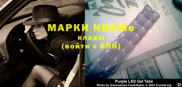 прущие грибы Верея