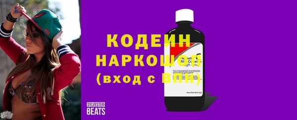 прущие грибы Верея
