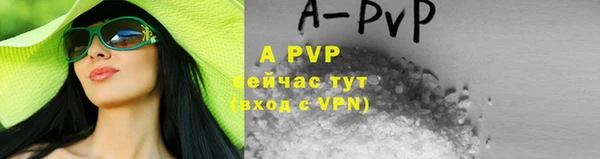 прущие грибы Верея