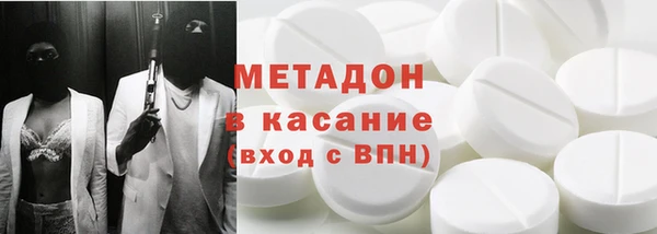 прущие грибы Верея