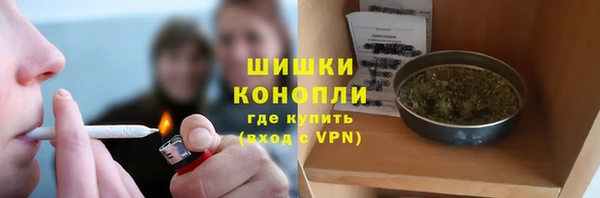 прущие грибы Верея