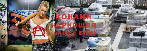 прущие грибы Верея