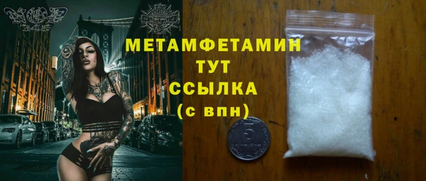 прущие грибы Верея