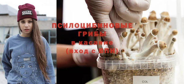 прущие крисы Белоозёрский